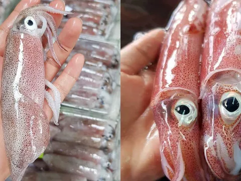 Mẹo phân biệt mực tươi và mực đã bị ướp đá lâu