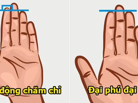 5 dấu hiệu trên lòng bàn tay của người giàu có, phúc khí dồi dào