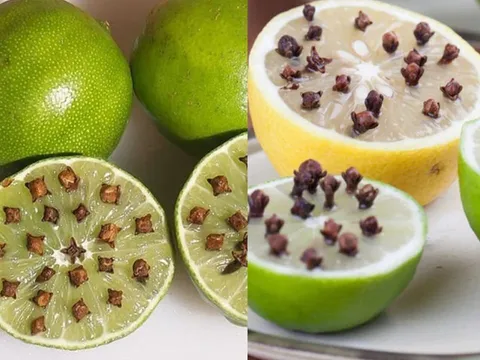 Cắm thứ này vào quả chanh và đặt ở góc nhà, muỗi nhiều mấy cũng hết sạch
