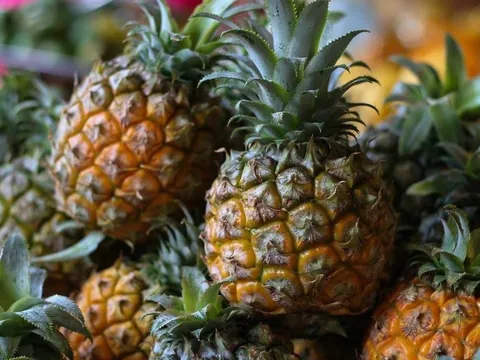 5 người nên ăn quả dứa mỗi ngày