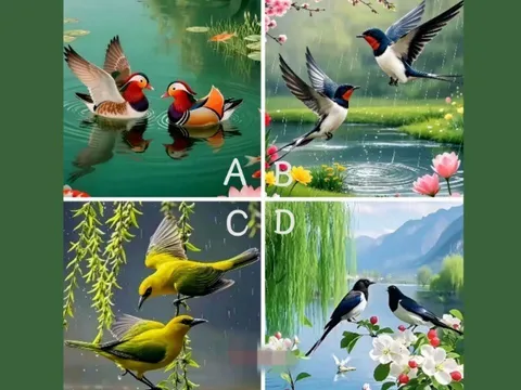 Trắc nghiệm: Bạn và người yêu ai là người “có phúc” hơn? Chọn một bức tranh sẽ rõ