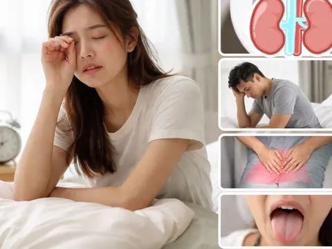5 dấu hiệu buổi sáng cảnh báo thận đang “kêu cứu”: Đừng chủ quan khi vừa thức dậy