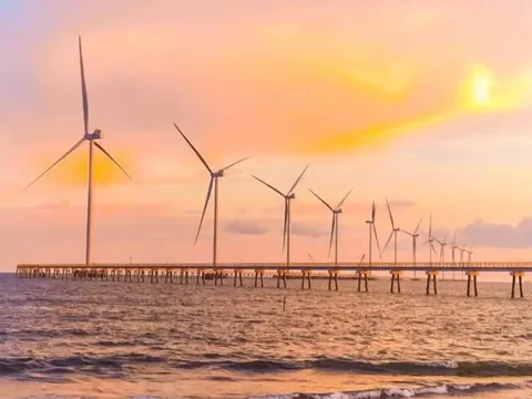 Bãi tắm có cánh đồng điện gió chạy thẳng tắp trên biển ở miền Tây, nổi tiếng với đặc sản cua “chù ụ” thơm ngon