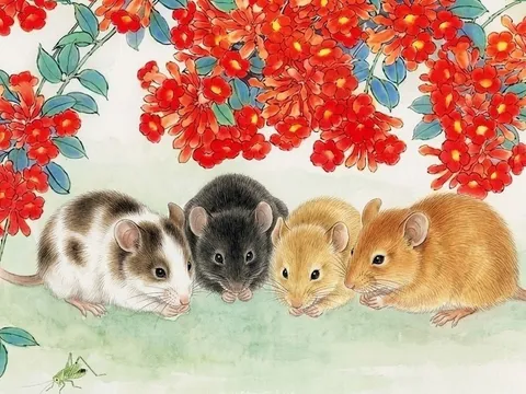 4 con giáp này nóng giận cẩn thận mất tiền Tài - Cơ Hội trong vòng 2 tháng tới