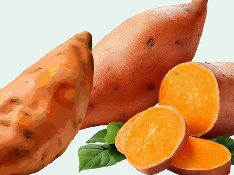 2 thực phẩm “chống nắng từ bên trong”: Vừa đẹp da vừa hỗ trợ giảm cân