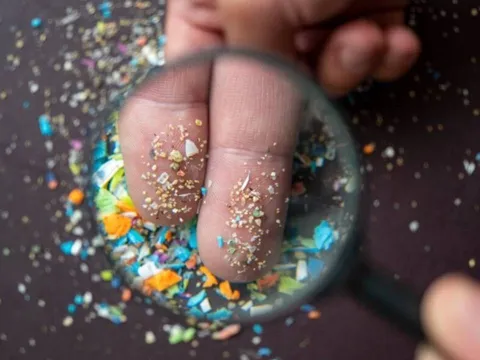 Hạt vi nhựa là gì? Tác hại khủng khiếp của vi nhựa, 5 thực phẩm chứa nhiều nhất cần tránh