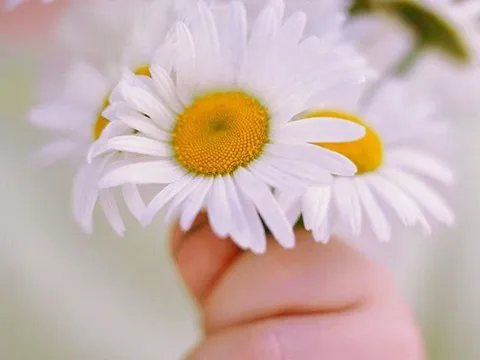  Từ 20/4-10/5: 3 tuổi được quý nhân để ý, cơ hội đổi đời đến nhanh như chớp