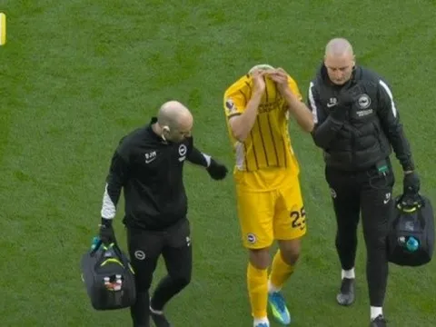 Rời sân trong nước mắt, Diego Gomez khiến Brighton lo sốt vó
