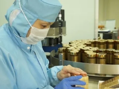 Những điều cần biết khi lựa chọn Fucoidan