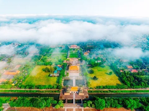 Đâu là Thành phố Xanh đầu tiên của Việt Nam, đô thị nào có tỷ lệ cây xanh cao nhất cả nước?