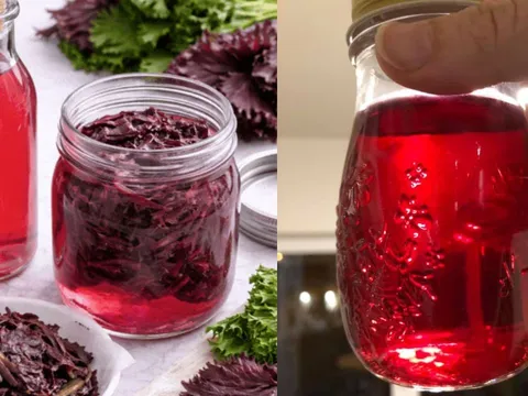 Cách làm giấm tía tô vừa đẹp mắt, thơm ngon, vừa tốt cho tiêu hóa, giúp đẹp da