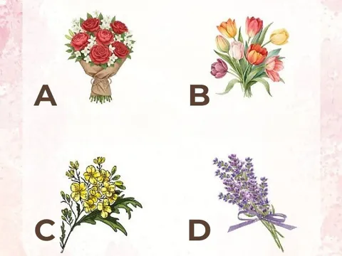 Trắc nghiệm tâm lý: Buông bỏ điều gì giúp bạn mở ra may mắn trong năm 2026?