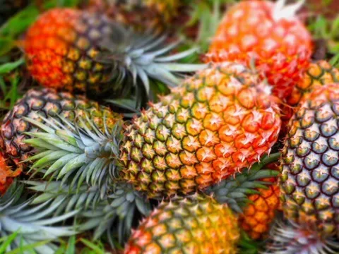 12 loại quả ít “ngậm” thuốc trừ sâu, giàu vitamin, được bán đầy chợ Việt với giá rẻ bèo, 10.000 đồng là có thể mua