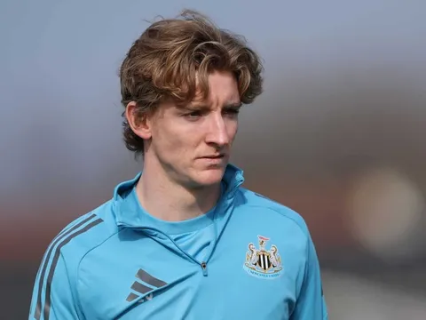 Chuyên gia chê Bayern điên rồ nếu mua Gordon về dự bị