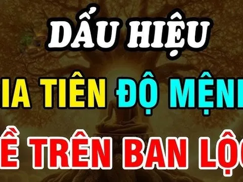 4 dấu hiệu Tổ Tiên linh ứng, độ mệnh con cháu dễ phất như Rồng