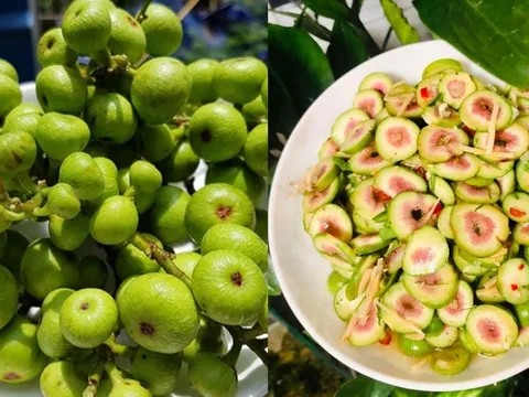 Người mắc 4 lại bệnh này ăn quả sung, cơ thể nhận được lợi ích bất ngờ