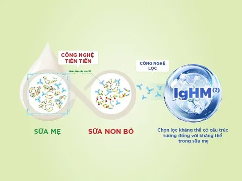 IgHM - hướng tiếp cận mới trong dinh dưỡng miễn dịch