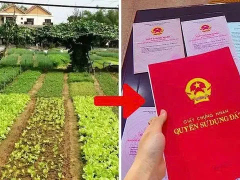 Từ năm 2026, chi phí chuyển đất vườn lên đất ở mất bao nhiêu tiền?