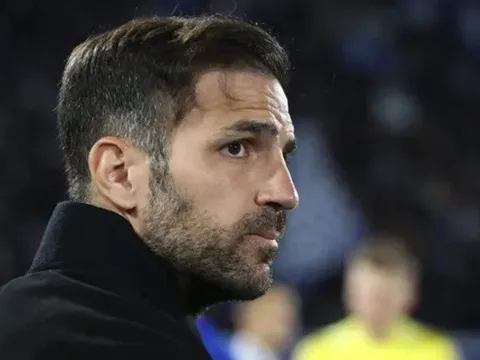 Chủ tịch Como không ngăn cản Cesc Fabregas đến Chelsea
