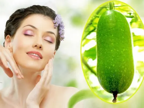 Bí đao và những công dụng làm đẹp ít người biết đến