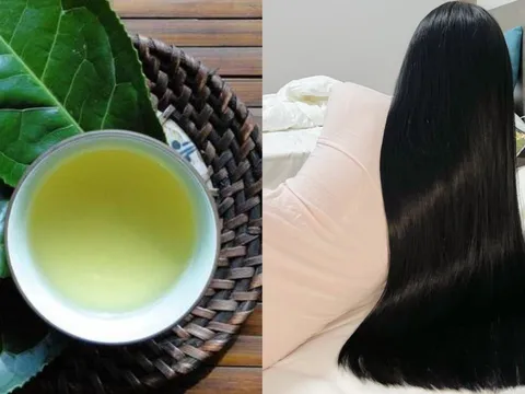 Cách gội đầu bằng nước chè xanh (trà xanh) giúp giảm gãy rụng, tóc con mọc tua tủa