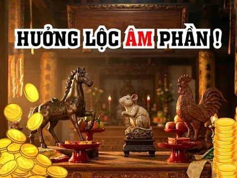 Lộc Âm Phần rất dày, 3 tuổi được gia tiên độ trì khơi thông Lộc Lá