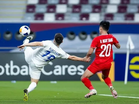 Tội phạm hủy hoại V-League