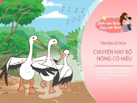 Truyện cổ tích: Bồ Nông có hiếu