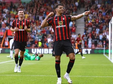 Mùa giải xuất sắc của Dominic Solanke