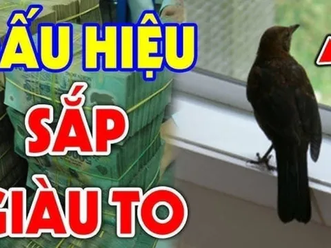 4 con vật được xem là “đệ tử” Thần Tài: Vào nhà nào, tài lộc kéo đến nhà đó