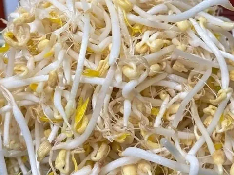 5 loại rau “vua thải độc” giúp thanh nhiệt mùa nắng nóng, chợ Việt bán rất nhiều