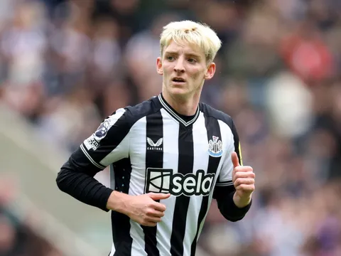 Không phải Joelinton, đây mới là cái tên hay nhất của Newcastle