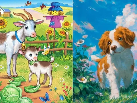 Không toan tính vẫn "thắng đời": 3 tuổi sống thật tâm, trong khó khăn dễ gặp cơ hội