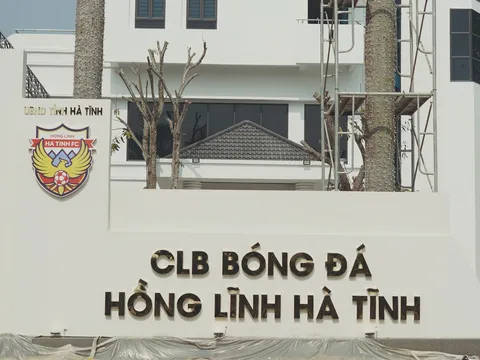 "Tôi không hiểu tại sao họ lại rơi vào cám dỗ"