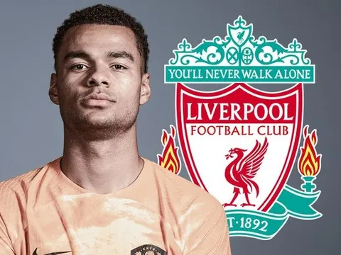 Xác nhận! Lý do M.U bị Liverpool cướp mất Cody Gakpo