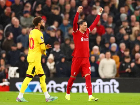 "Quả bóng có thể văng đi bất cứ đâu, nhưng không may lại đi vào lưới"