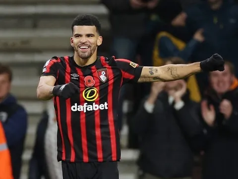 Dominic Solanke đã sẵn sàng bước ra ánh sáng