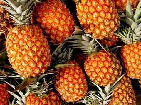 5 người nên thường xuyên ăn dứa vào buổi sáng