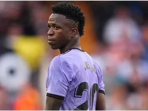 "Anh có ngu không?"