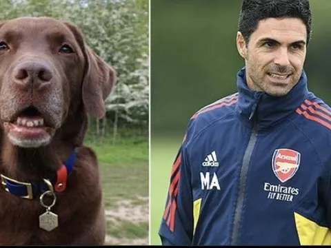 Arteta làm điều đặc biệt trên sân tập Arsenal