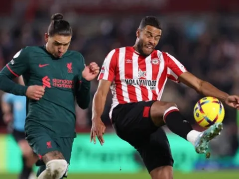 Bầy ong độc đáng sợ ở Premier League