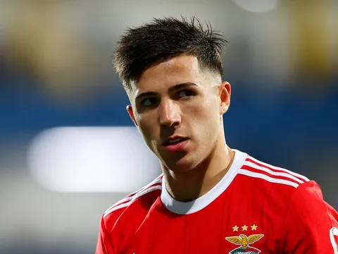 Bỏ 2 buổi tập, Enzo Fernandez khiến HLV Benfica nổi giận