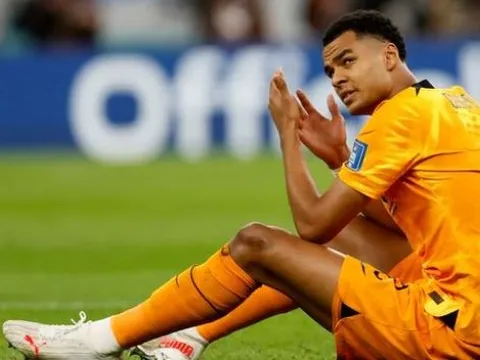 "Câu lạc bộ duy nhất đàm phán mua Cody Gakpo"