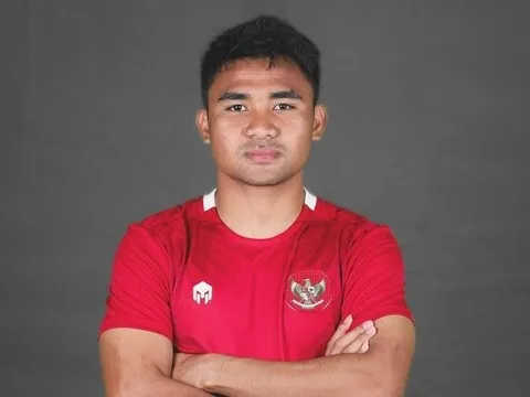 Cầu thủ làm trái quy định của Indonesia tại AFF Cup