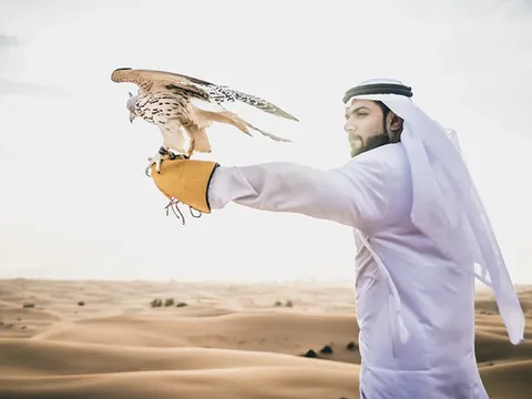 Chim “quý tộc” ở Qatar dự đoán kết quả trận khai mạc World Cup 2022
