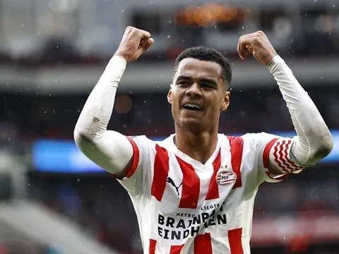 "Gakpo đáng giá 80 triệu bảng, vậy tại sao tôi lại ngồi ở nhà?"