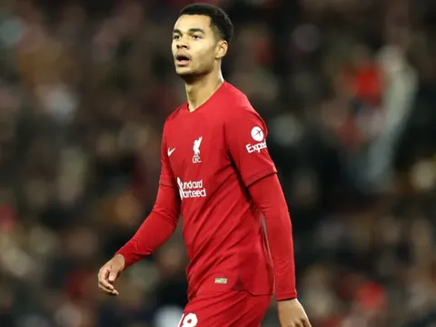 Cody Gakpo thể hiện ra sao trong trận ra mắt Liverpool?