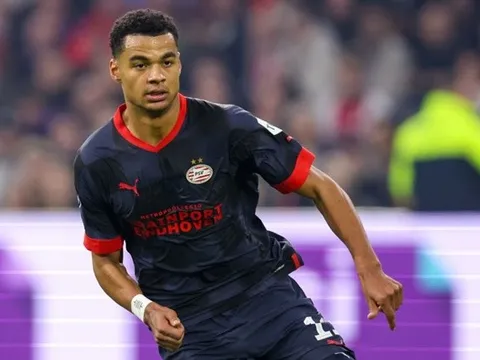 Cody Gakpo và 3 cầu thủ Man Utd phải 'xem giò' ở World Cup