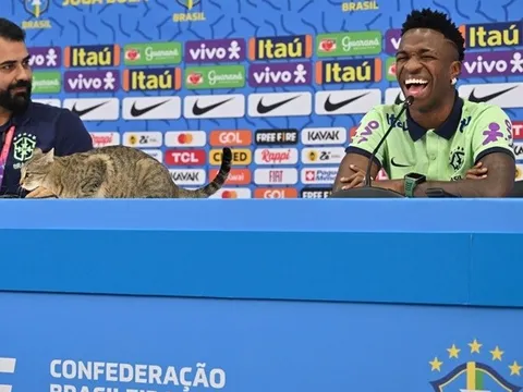 Con mèo đột nhập phòng họp báo, Vinicius cười phá lên