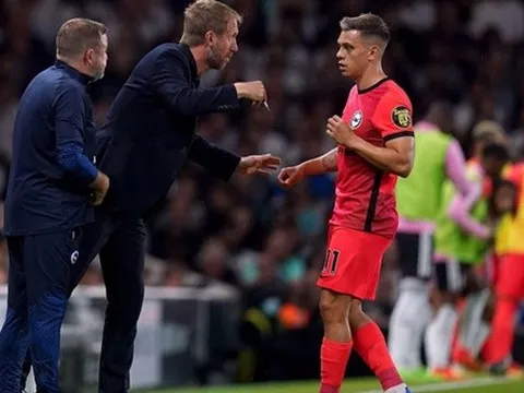 Ferdinand: "Tôi sẽ ngạc nhiên nếu Potter không chiêu mộ cậu ấy"
